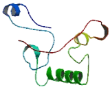 Interferon Alpha Inducible Protein 27 Like Protein 2 (IFI27L2) Interferon Alpha Inducible Protein 27 Like Protein 2 (IFI27L2)