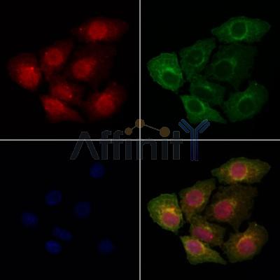 Валидация Affinity DF6907 - 18505