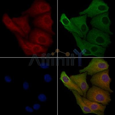 Валидация Affinity DF3899 - 15069