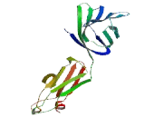 Signaling Lymphocytic Activation Molecule Family, Member 6 (SLAMF6) Signaling Lymphocytic Activation Molecule Family, Member 6 (SLAMF6)