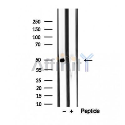 Валидация Affinity DF12348 - 6780