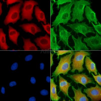 Валидация Affinity DF13759 - 9418