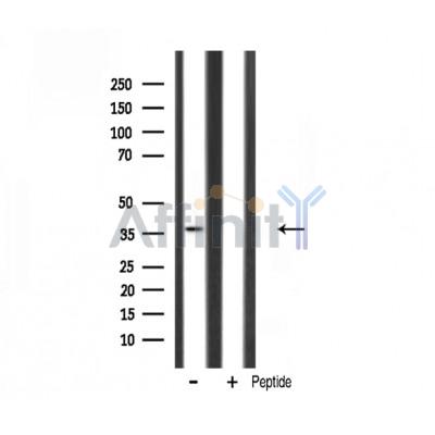 Валидация Affinity DF3122 - 13893