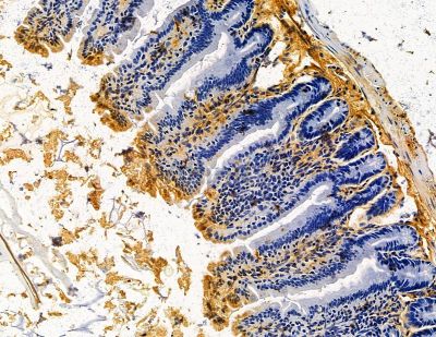 Валидация Affinity DF14962 - 11157