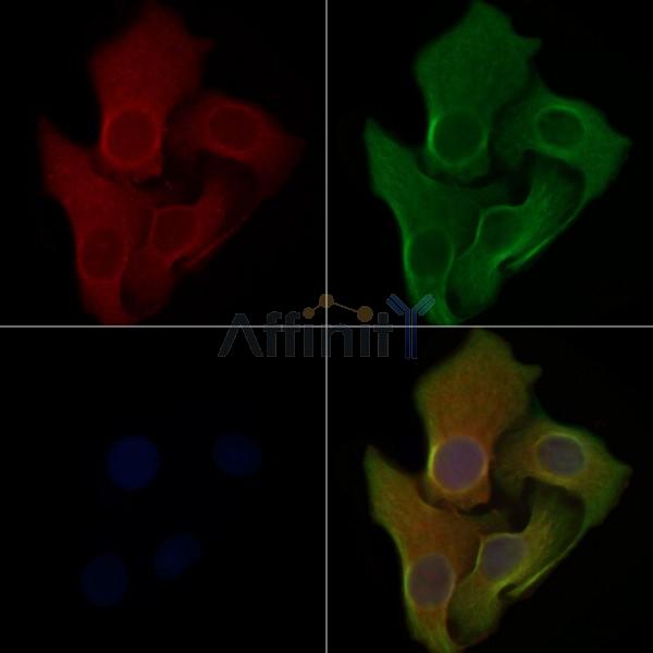 Валидация Affinity DF4399 - 15884