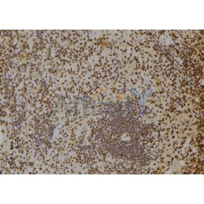 Валидация Affinity DF6444 - 17825