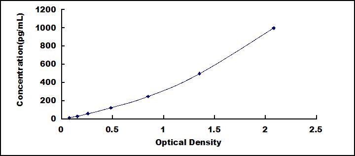 65049