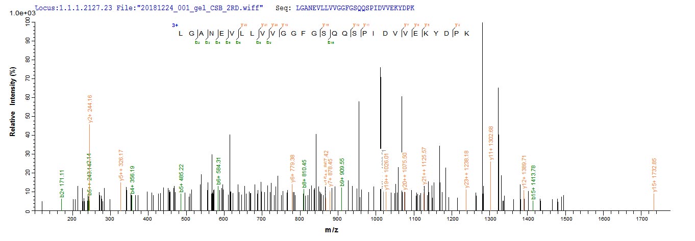 LC-MS/MS