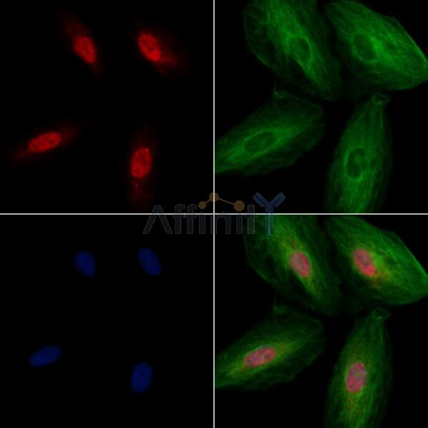 Валидация Affinity DF12036 - 6070