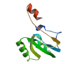 Tetraspanin 30 (TSPAN30) Tetraspanin 30 (TSPAN30)