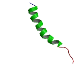G Protein Coupled Receptor 52 (GPR52) G Protein Coupled Receptor 52 (GPR52)