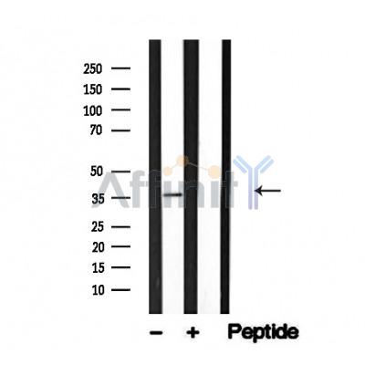 Валидация Affinity AF4753 - 2372