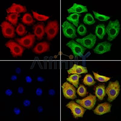 Валидация Affinity AF6126 - 3345