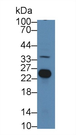 13957