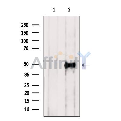 Валидация Affinity DF7097 - 18743