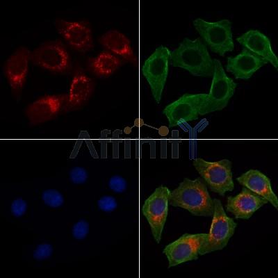 Валидация Affinity AF7902 - 4647