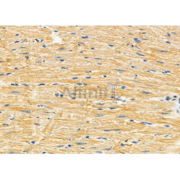 Валидация Affinity DF7166 - 18815