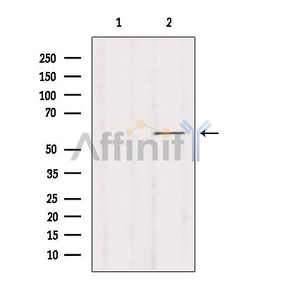 Валидация Affinity DF2237 - 12777