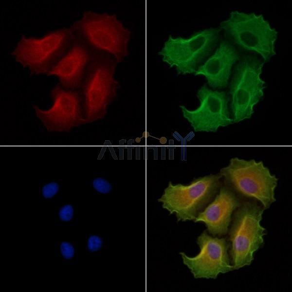 Валидация Affinity DF2301 - 12861