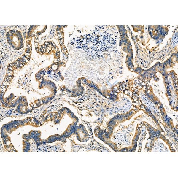 Валидация Affinity DF7935 - 19772