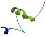 Breast Cancer Susceptibility Protein 2 (BRCA2)