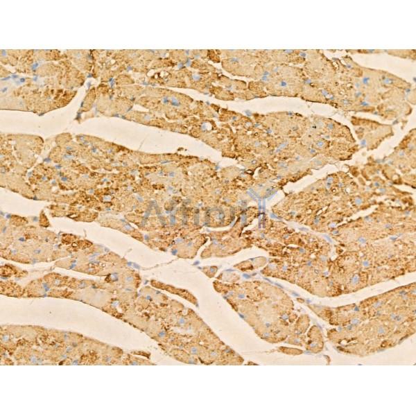 Валидация Affinity DF13314 - 8473