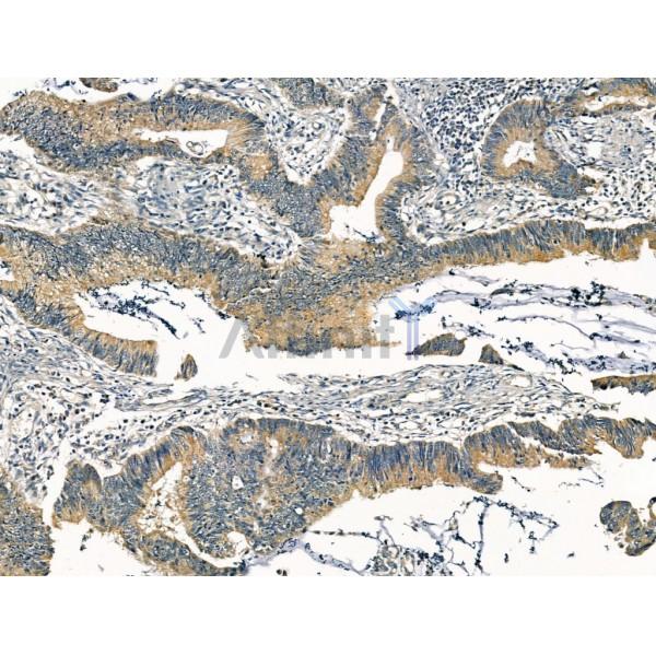 Валидация Affinity DF13233 - 8279