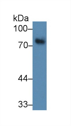 14880
