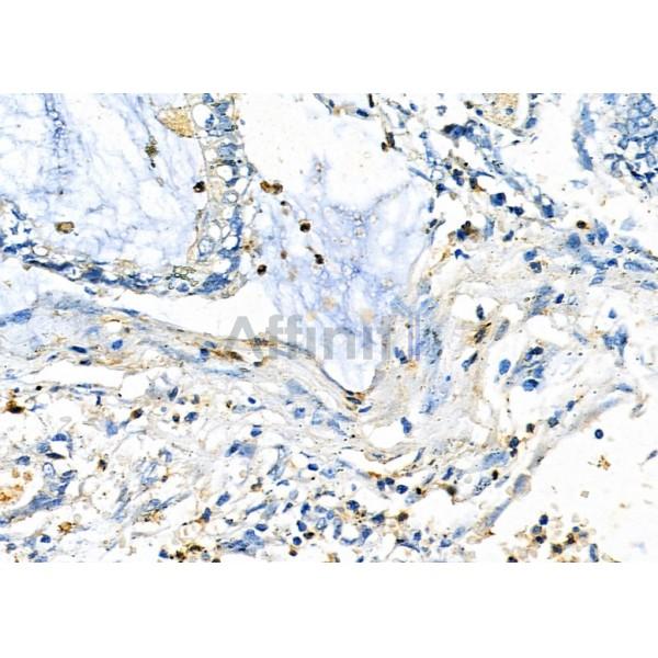 Валидация Affinity DF4858 - 16633