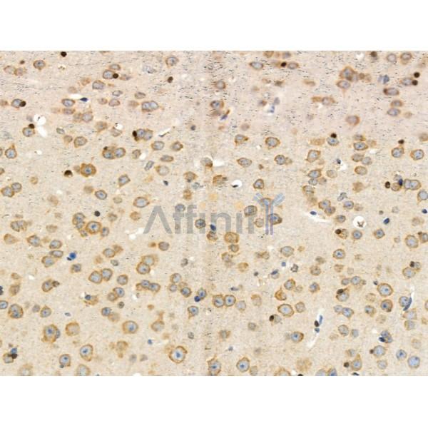 Валидация Affinity AF5465 - 3124