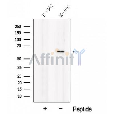 Валидация Affinity DF12673 - 7329