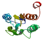 CKLF Like MARVEL Transmembrane Domain Containing Protein 2 (CMTM2) CKLF Like MARVEL Transmembrane Domain Containing Protein 2 (CMTM2)