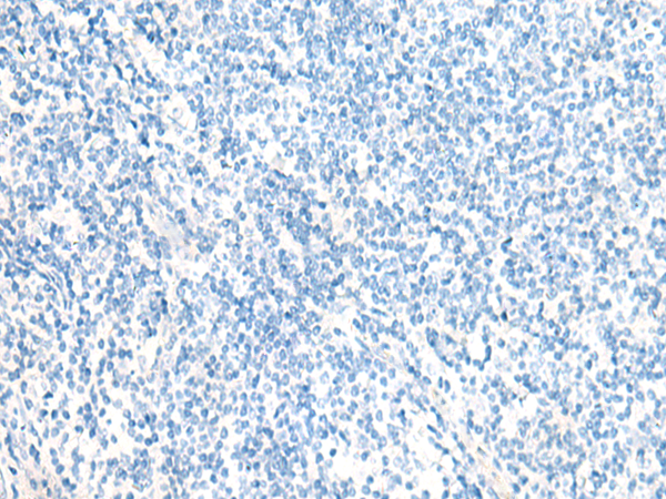 Валидация AssayVector ARM1767(2199)