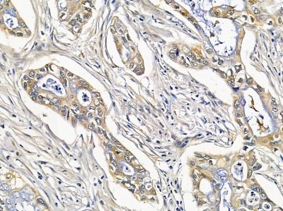 Валидация Affinity DF9418 - 21972