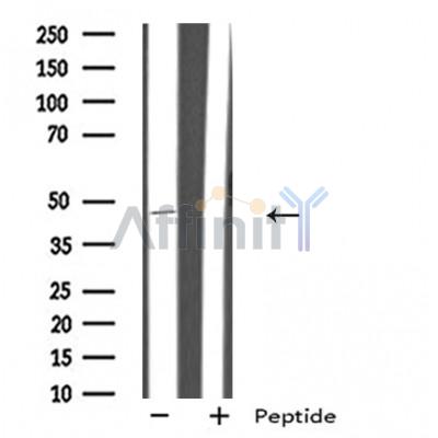 Валидация Affinity DF4896 - 16693