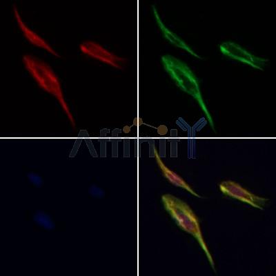 Валидация Affinity DF12727 - 7401