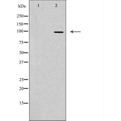 Валидация Affinity DF3315 - 14180
