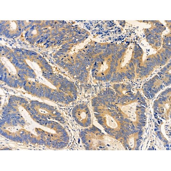 Валидация Affinity DF3744 - 14812