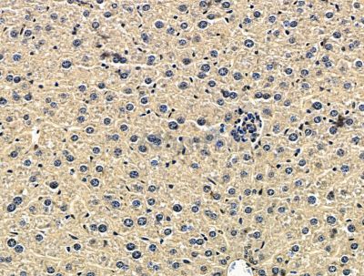 Валидация Affinity DF15631 - 12066