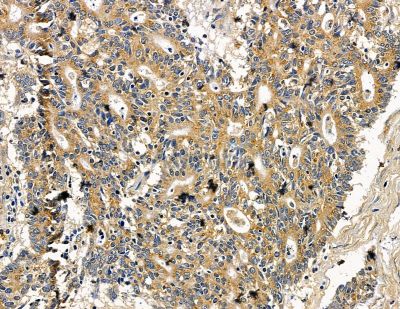 Валидация Affinity DF15284 - 11575