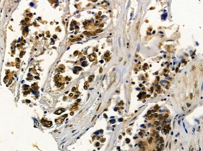 Валидация Affinity DF3421 - 14323