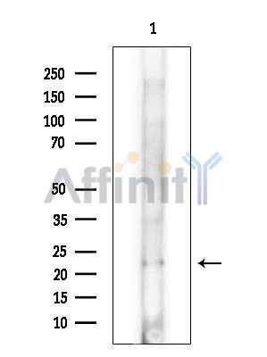 Валидация Affinity DF15622 - 12053