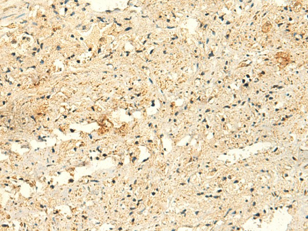 Валидация Elabscience E-AB-18963