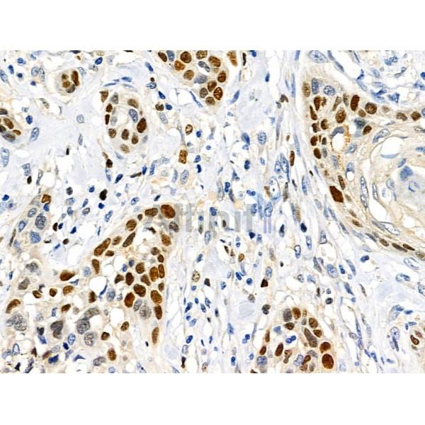 Валидация Affinity DF8750 - 20764