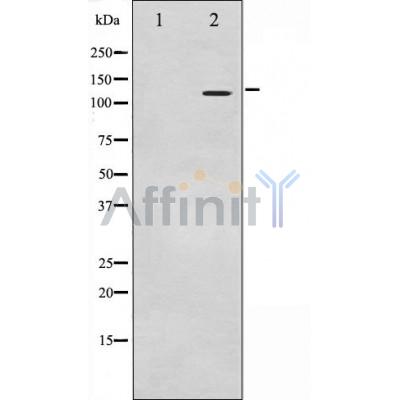 Валидация Affinity AF7005 - 4137