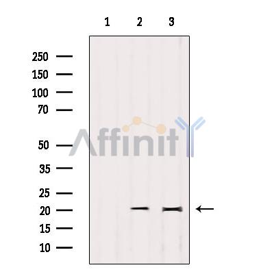 Валидация Affinity DF9630 - 22354