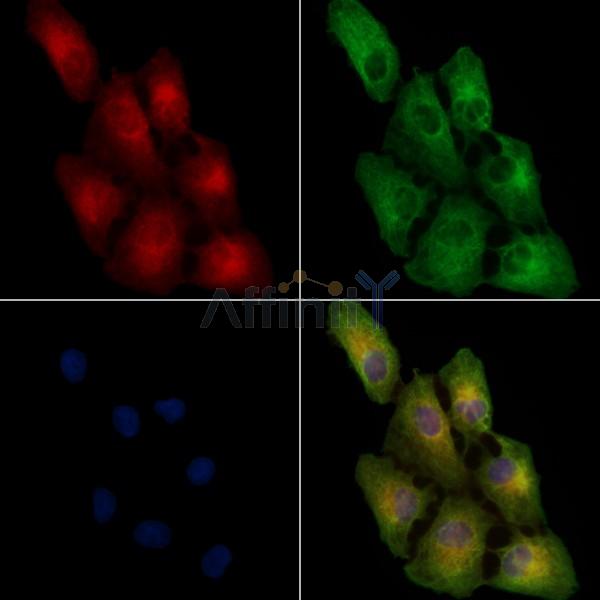 Валидация Affinity DF3763 - 14849