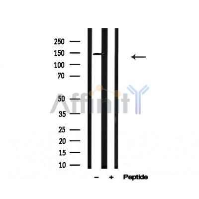 Валидация Affinity AF4789 - 2408