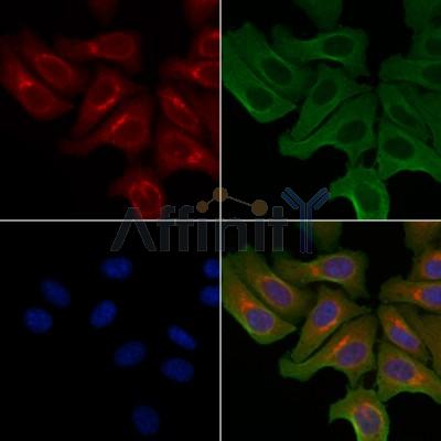 Валидация Affinity DF3795 - 14909