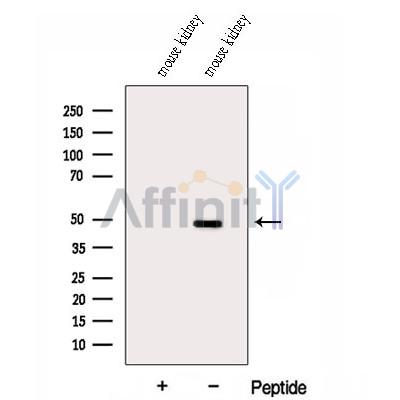 Валидация Affinity DF12964 - 7732